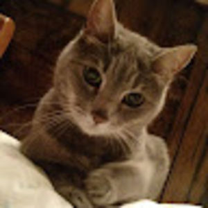 Meet your Posher, Susan